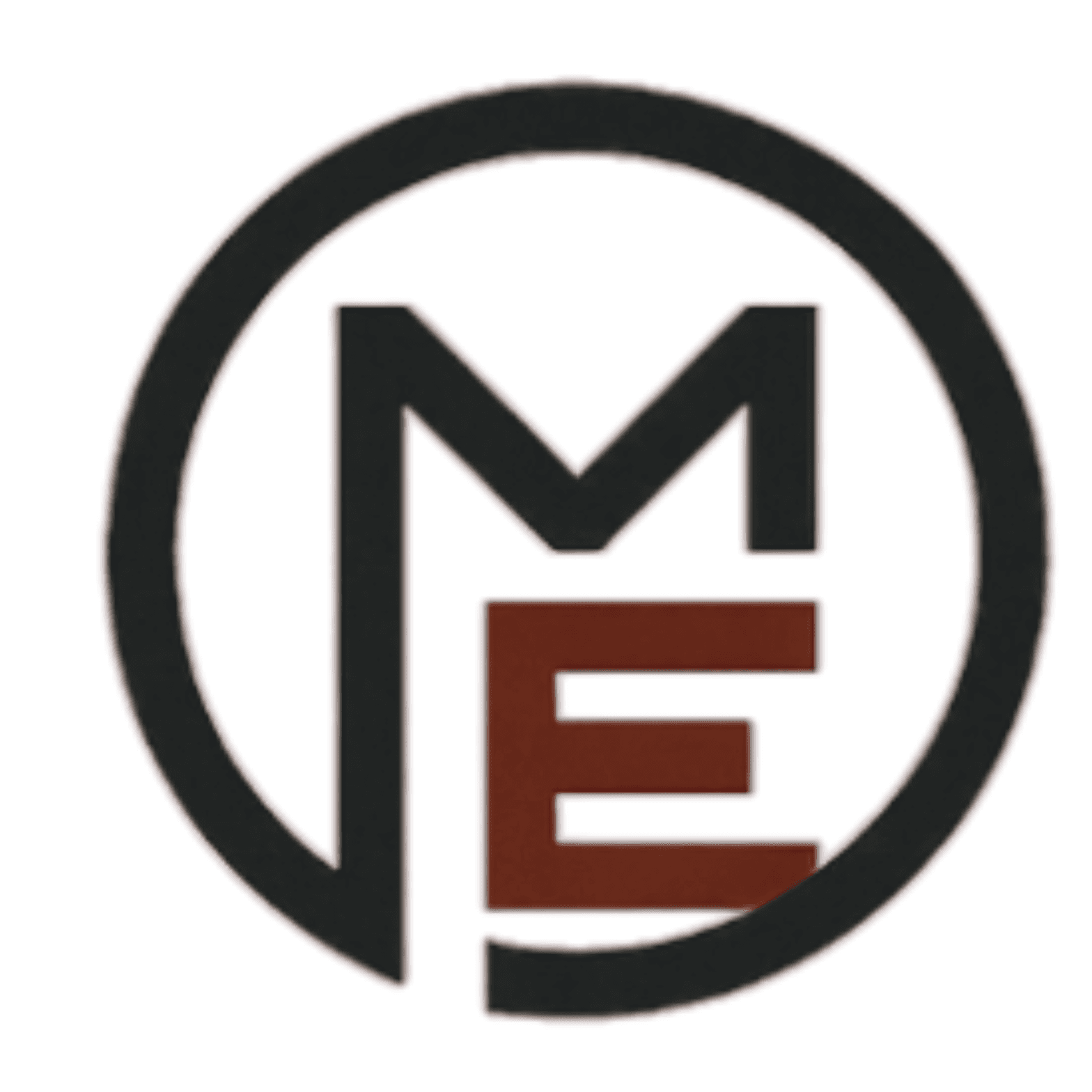 Mentor Echo